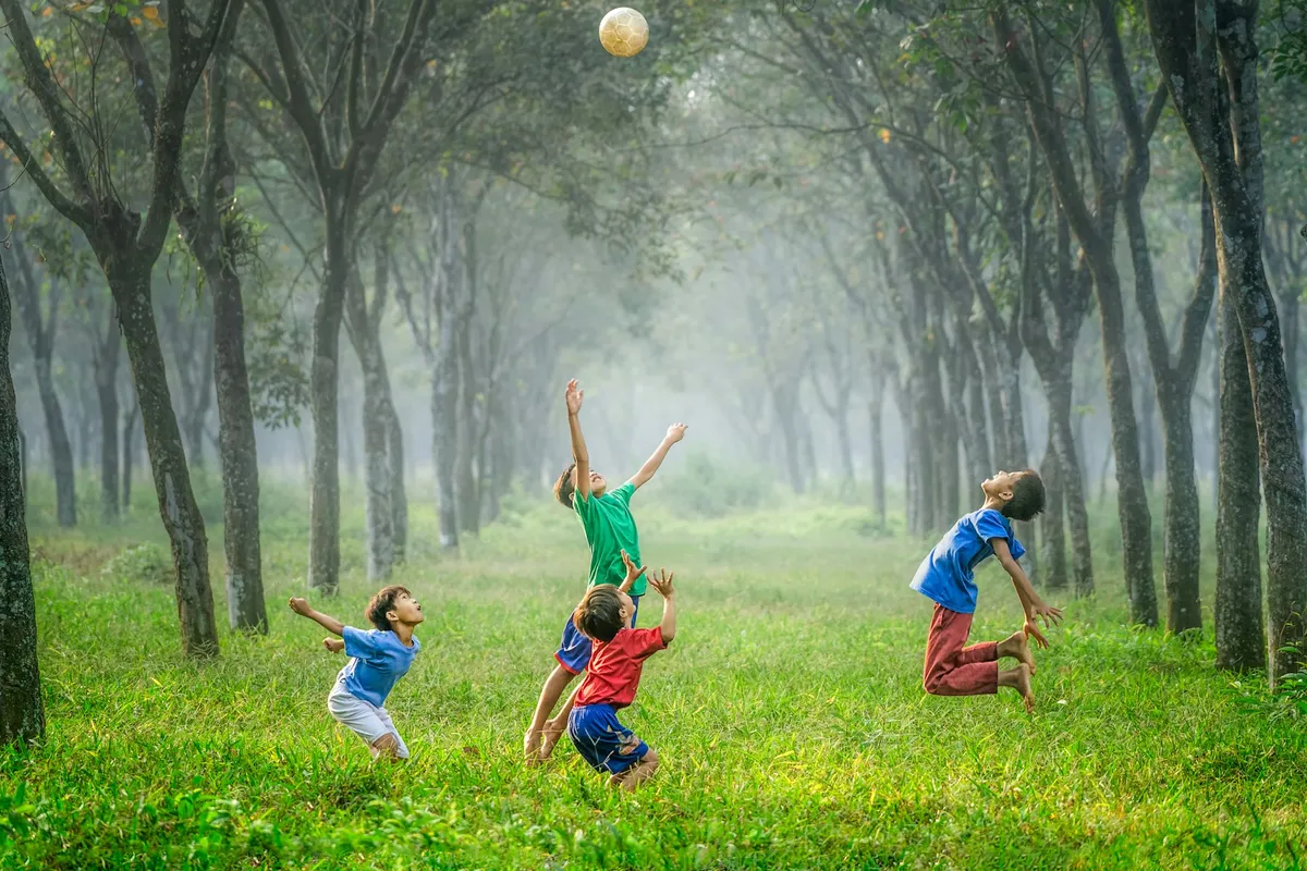 Outdoor family adventure park